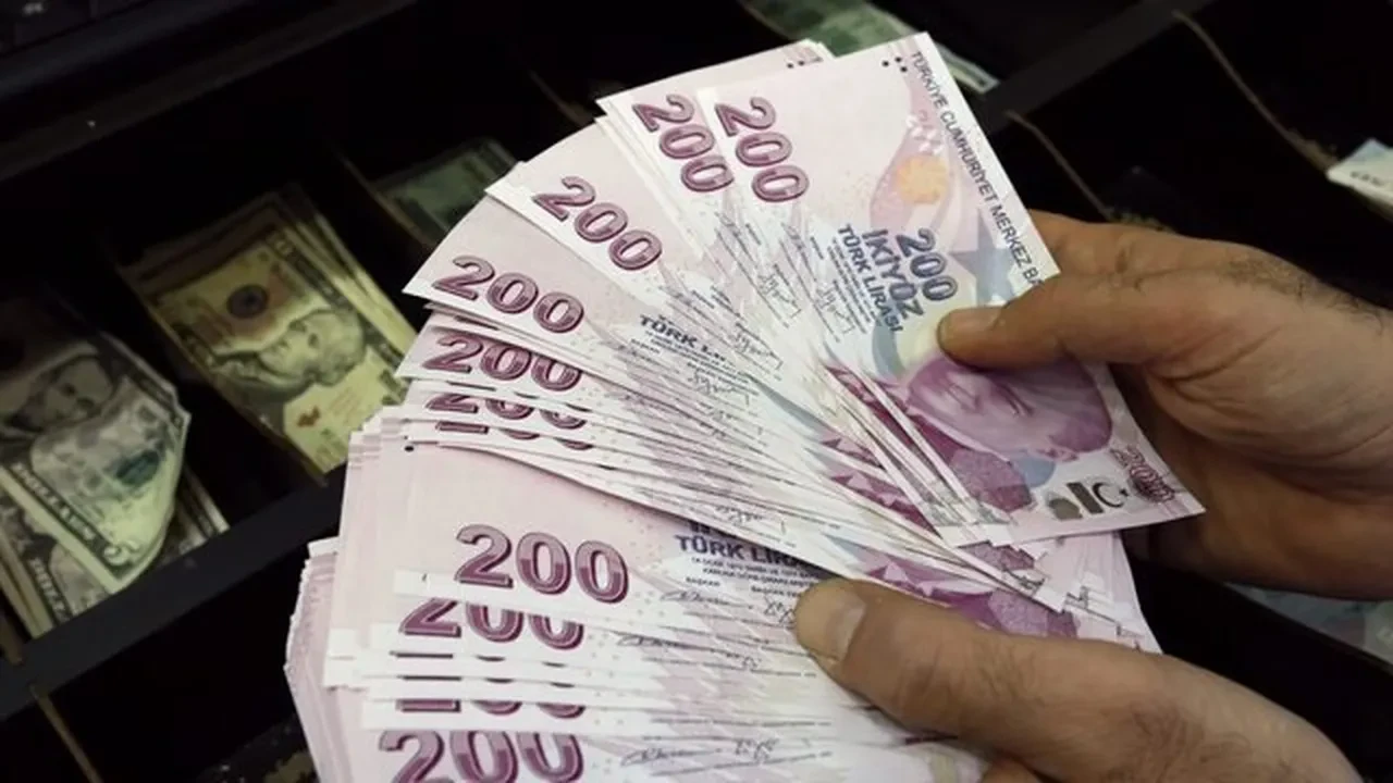 Bu ay hangi şirket ne zaman temettü ödemesi yapacak? Aralık takvimi