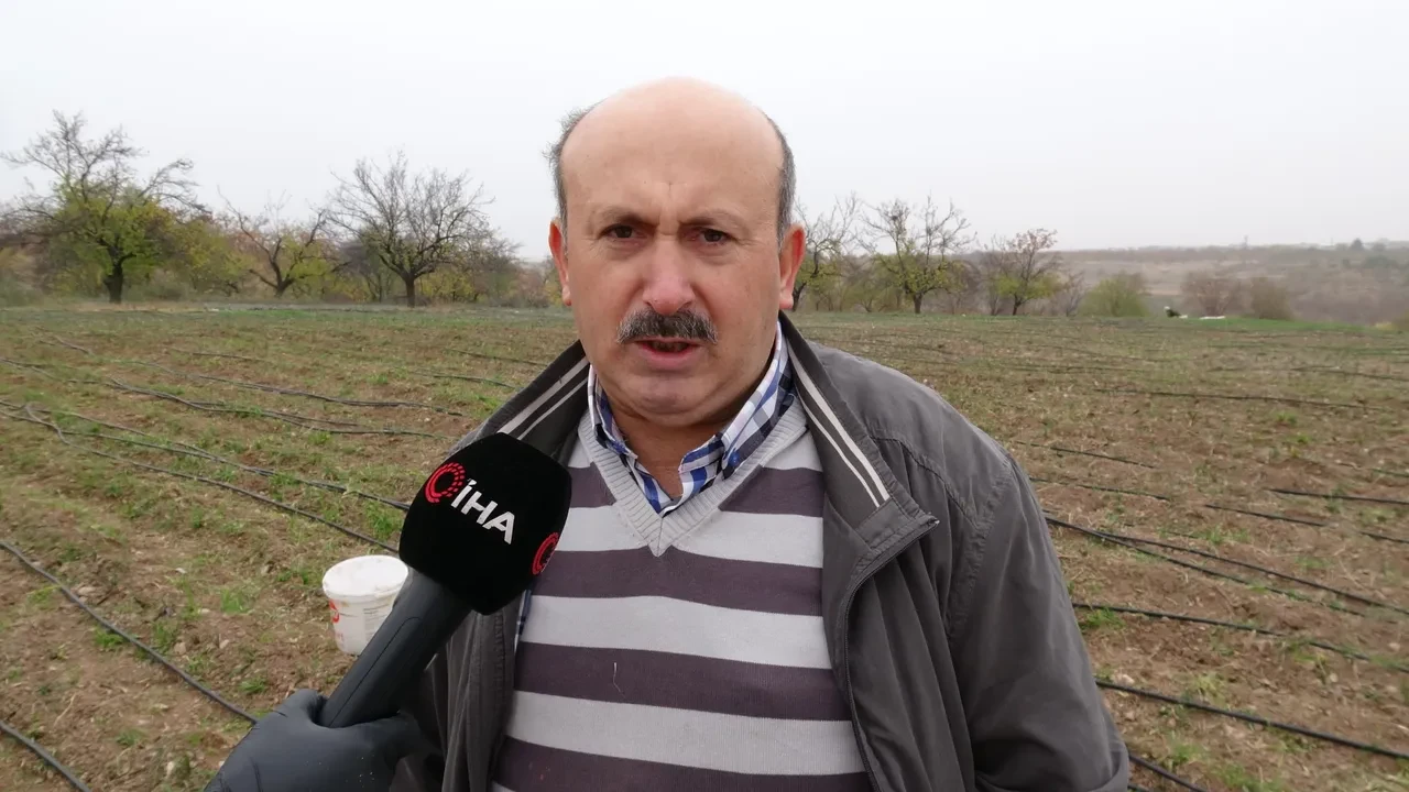 Fiyatı rekor kırıyor ama siparişlere yetişilemiyor! Baharatı ayrı, soğanı ayrı para ediyor