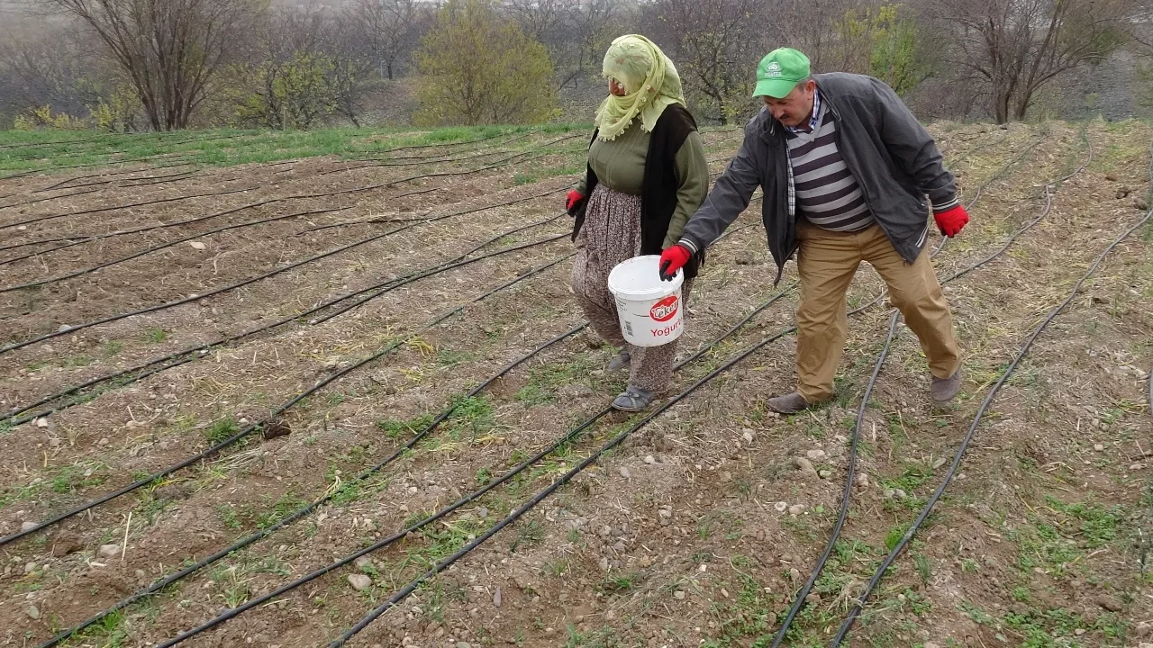 Fiyatı rekor kırıyor ama siparişlere yetişilemiyor! Baharatı ayrı, soğanı ayrı para ediyor