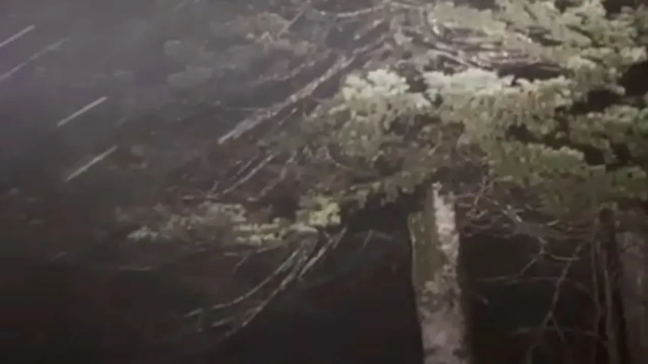 İstanbul'un yanı başında kar sevinci! Kartepe beyaza büründü, yılın ilk karı düştü