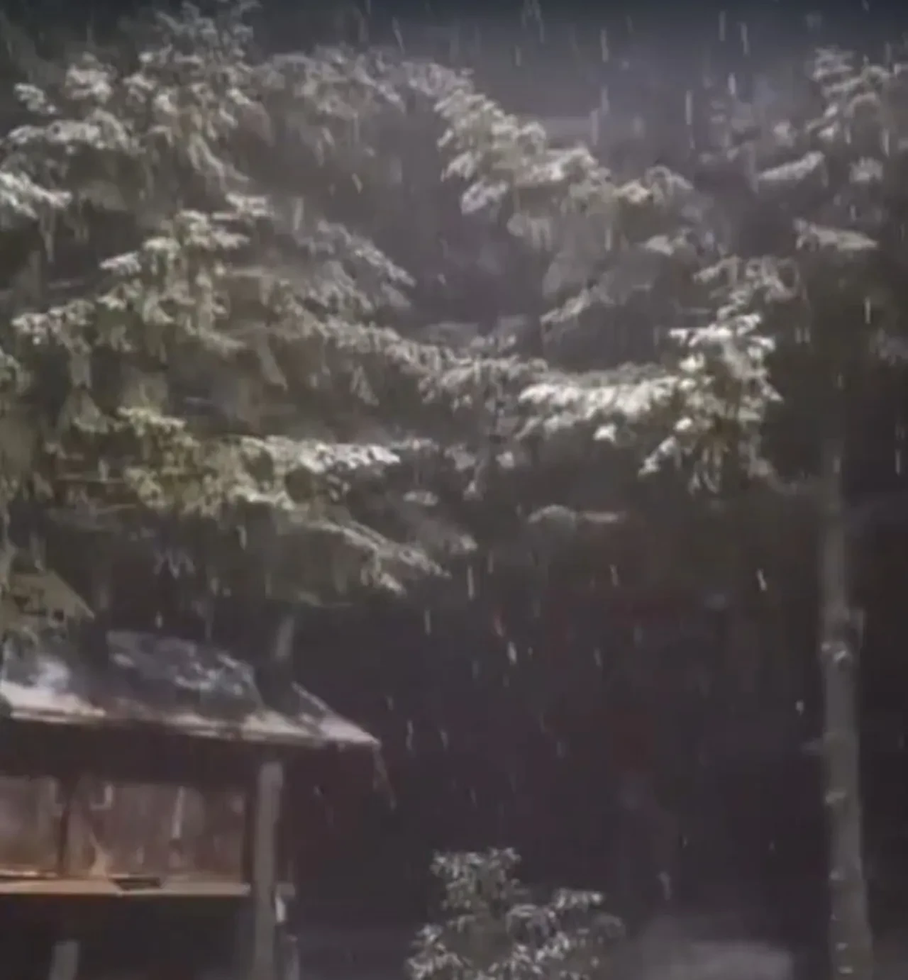 İstanbul'un yanı başında kar sevinci! Kartepe beyaza büründü, yılın ilk karı düştü