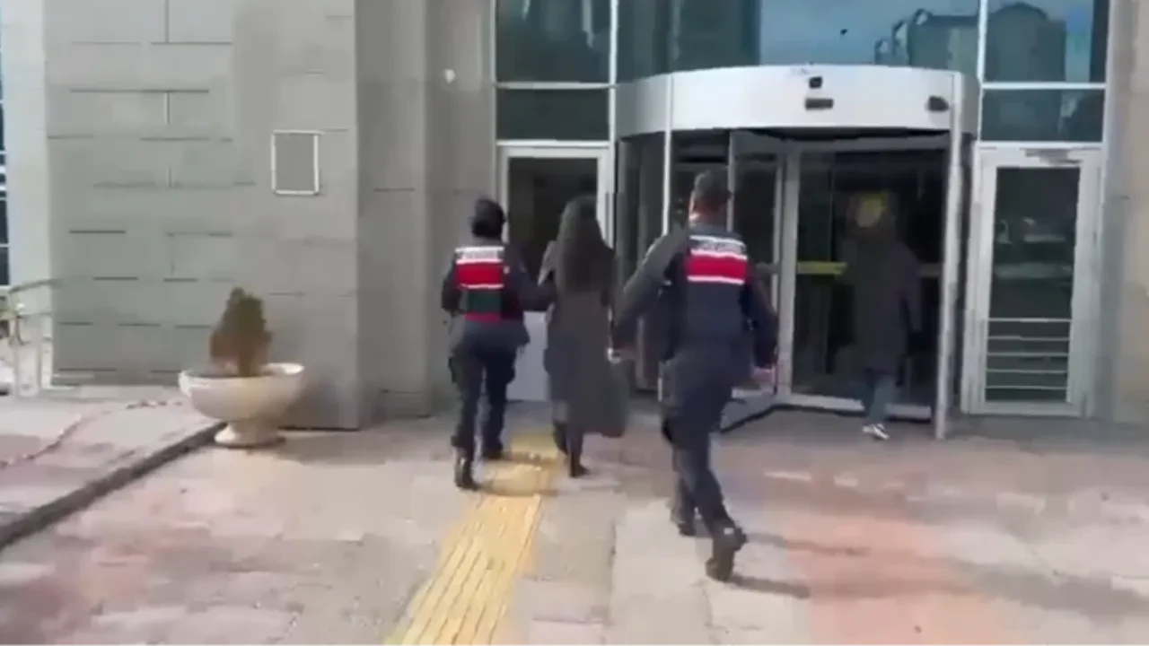 Pitbull dehşetinde flaş gelişme! Köpek barınağa, sahibi cezaevine