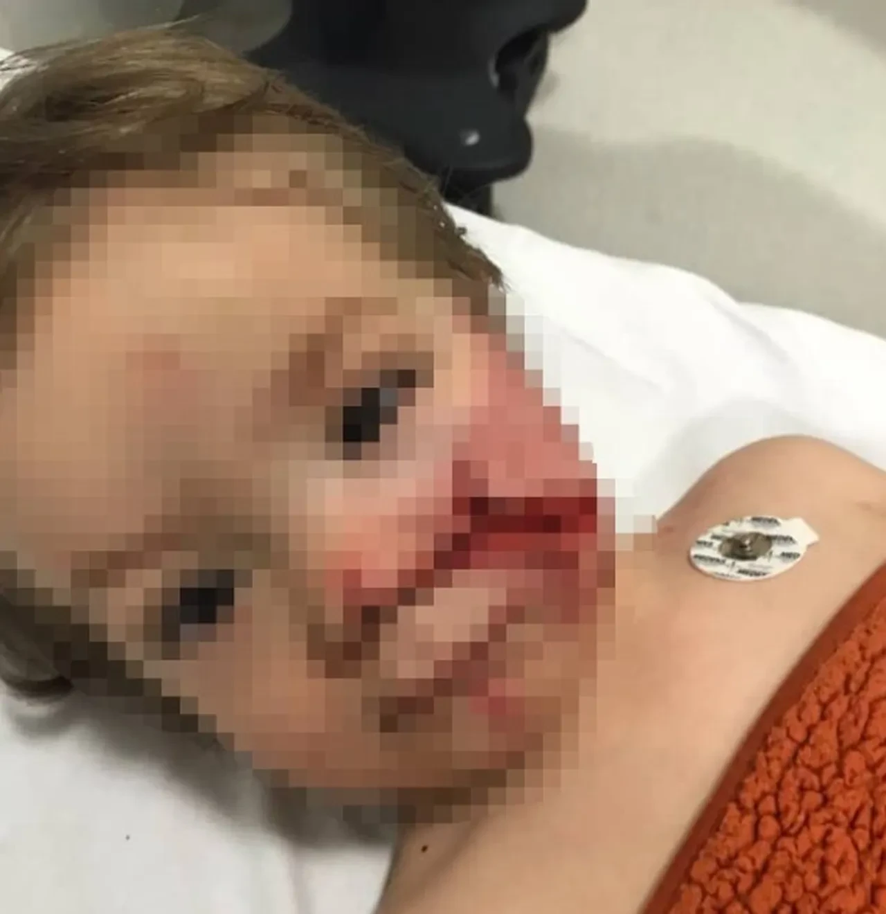 Pitbull dehşetinde flaş gelişme! Köpek barınağa, sahibi cezaevine