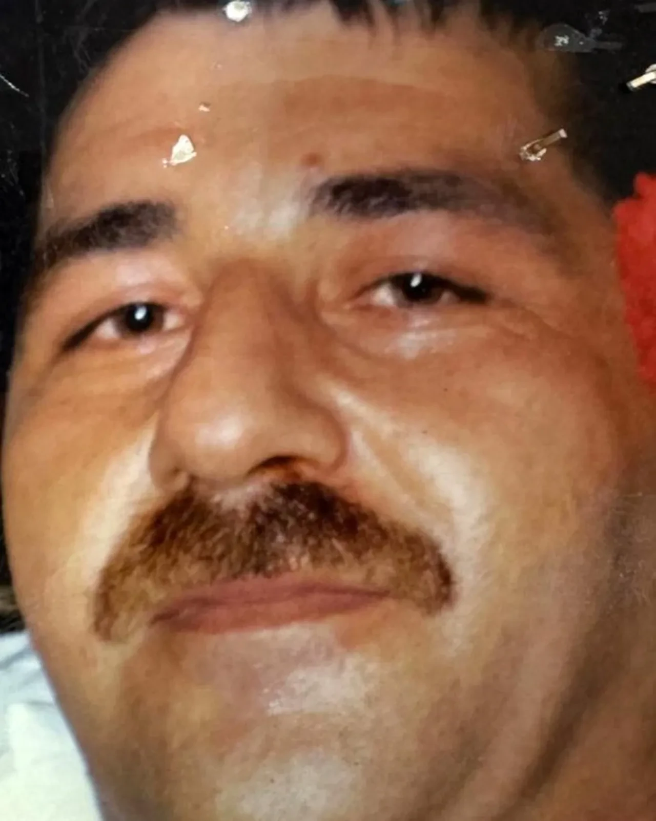 Zanlılar bile unuttu, polis unutmadı! Domuz bağı cinayeti 19 yıl sonra aydınlatıldı