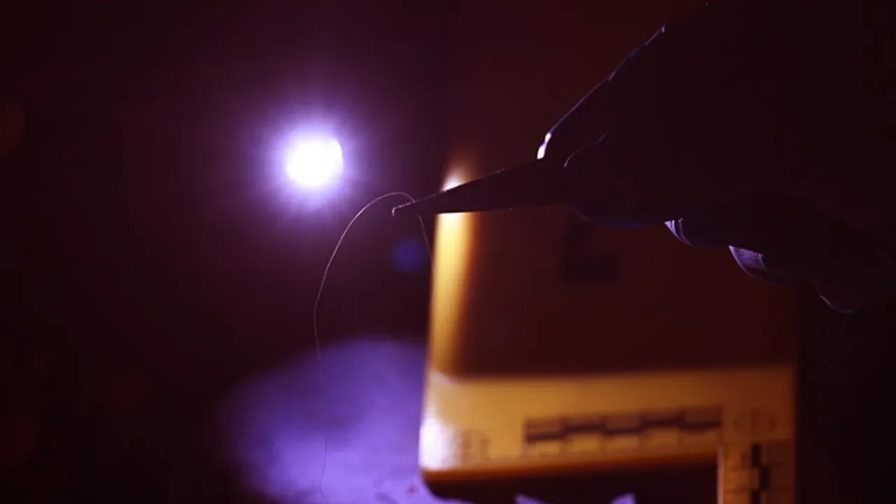 Zanlılar bile unuttu, polis unutmadı! Domuz bağı cinayeti 19 yıl sonra aydınlatıldı