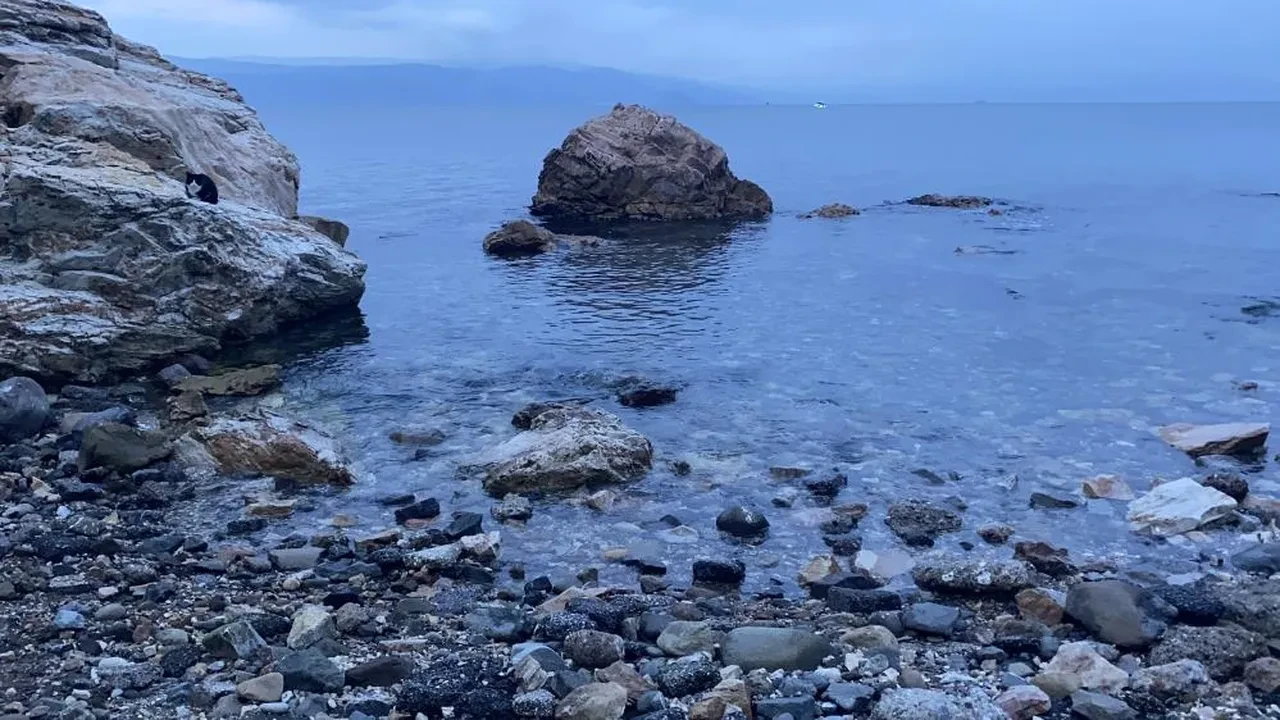 Bursa'da 3 gündür aranan Berat'ın cansız bedeni bulundu! Daha 19 yaşındaydı