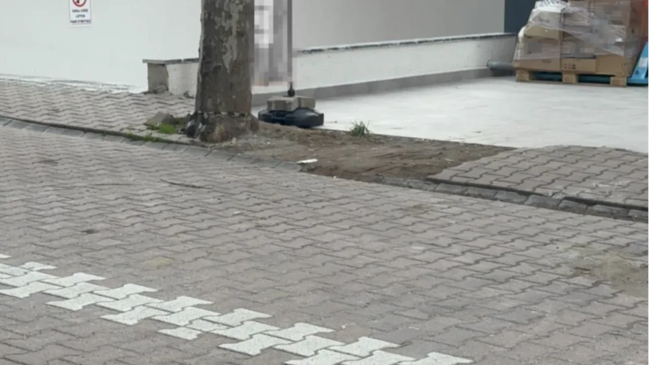 Çöpe atmak için aldığı poşetten 60 bin dolar çıktı!