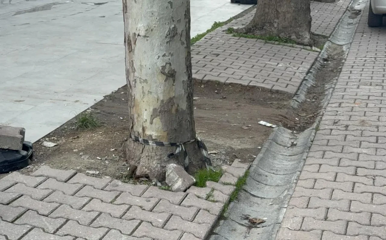 Çöpe atmak için aldığı poşetten 60 bin dolar çıktı!