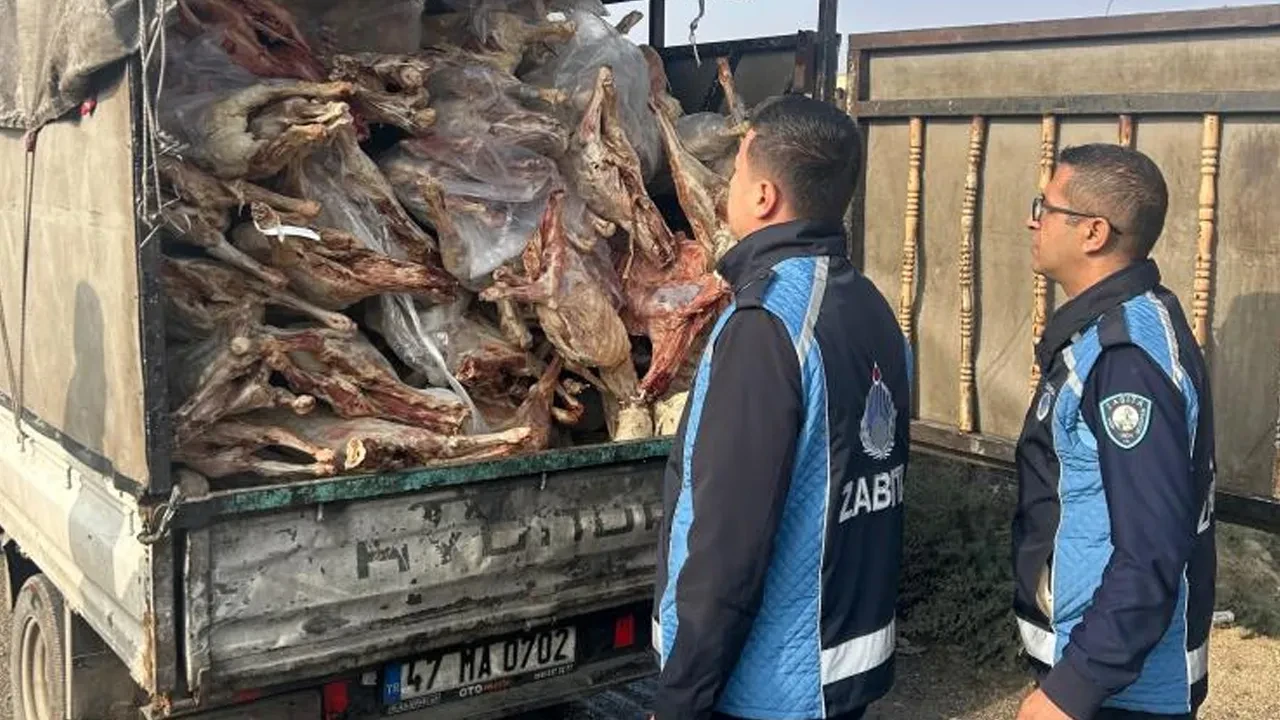 Gaziantep'te kamyonet kasasından bozuk et çıktı! Şoför durumu tek gerekçeyle savundu