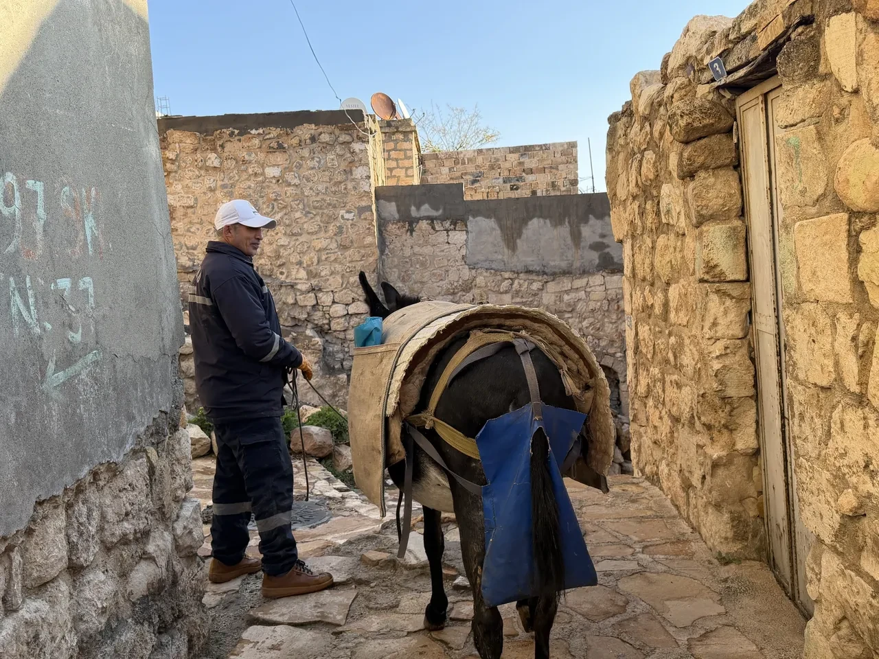 Kadrolu işçi eşekler emekli oluyor! Akıbetleri belli oldu: Artık orada yaşayacaklar