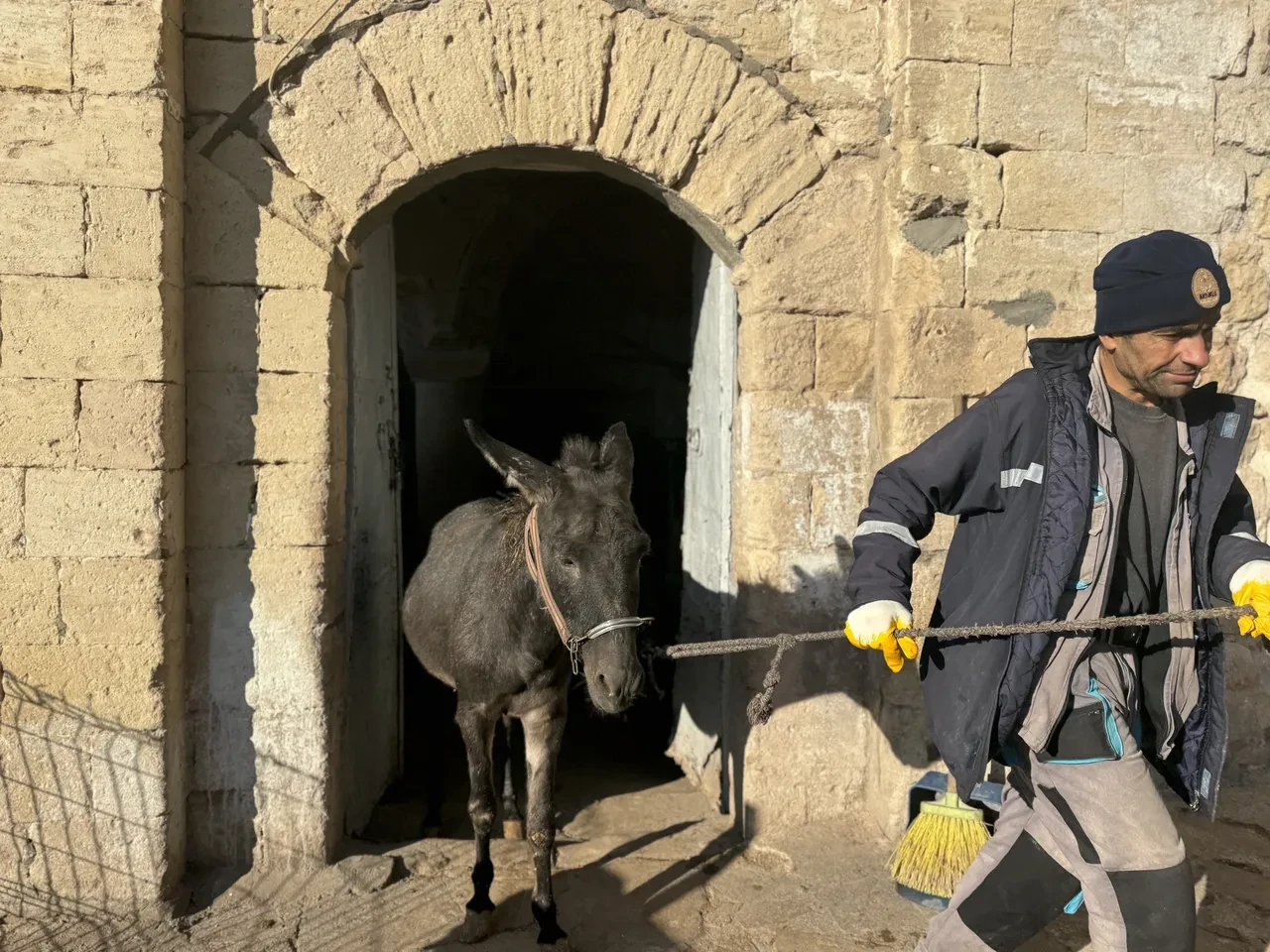 Kadrolu işçi eşekler emekli oluyor! Akıbetleri belli oldu: Artık orada yaşayacaklar
