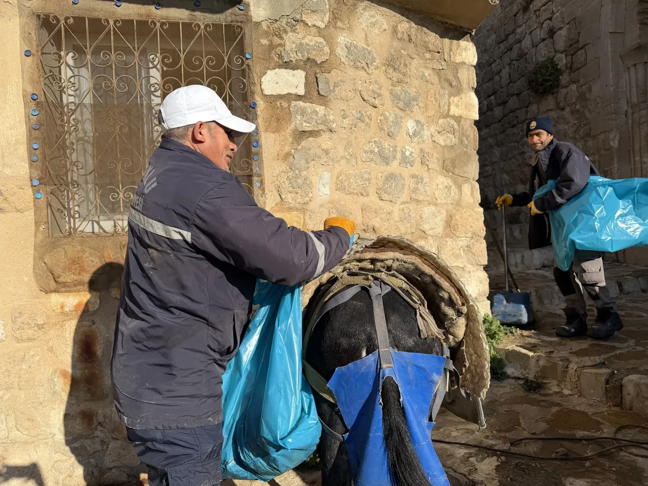 Kadrolu işçi eşekler emekli oluyor! Akıbetleri belli oldu: Artık orada yaşayacaklar