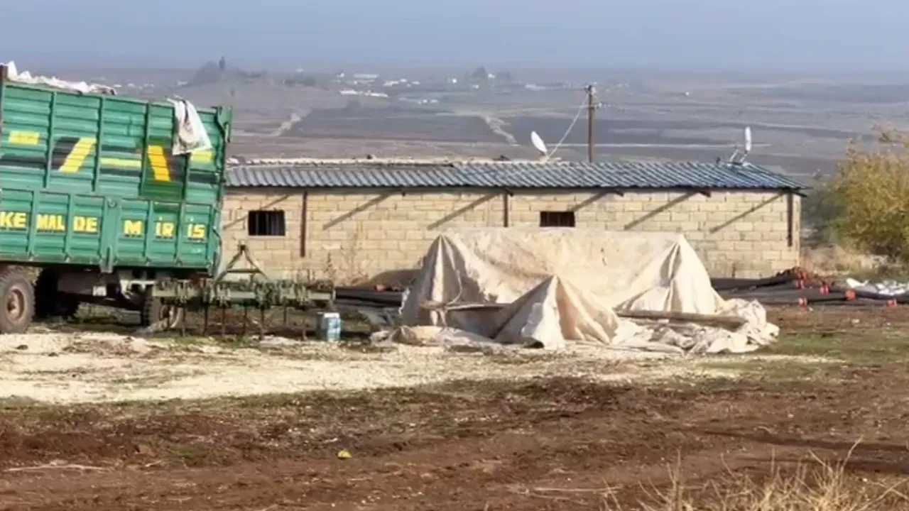 Aylık bin çeyrek altınlık elektrik kaçakçılığı: Ahırın içinden kripto imparatorluğu çıktı!