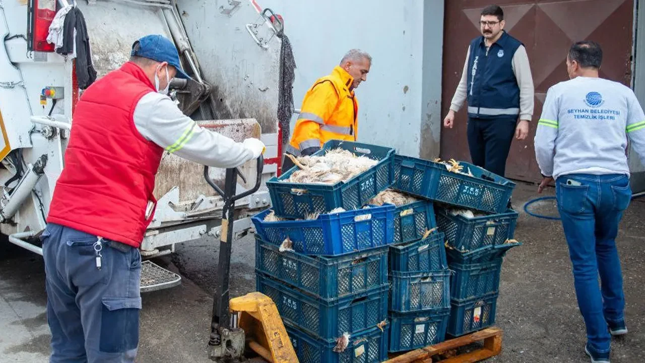 Depo kokunca ekipler harekete geçti! 25 kasa kokmuş tavuk bulundu