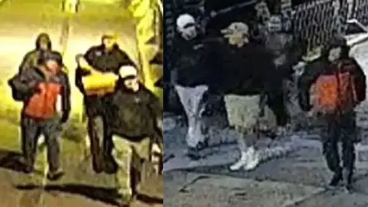 İngiliz tarihine ışık tutuyorlardı! 4 hırsız girdikleri müzede 600’den fazla eseri çaldı