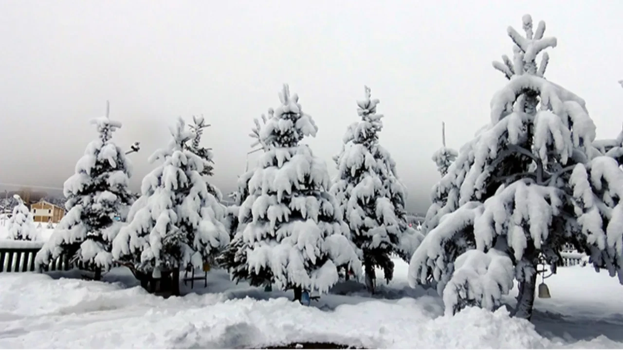 Yarın okullar tatil mi 12 Aralık? Van, Erzurum ve Kars'ta kar yağışı etkili oluyor