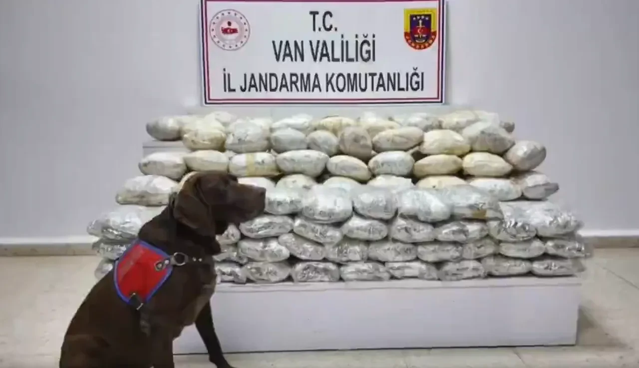 29 ilde narkotik operasyonu: 110 şüpheli tutuklandı