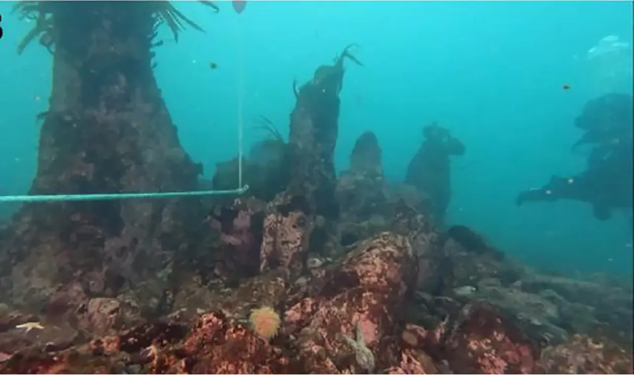 Batık taş devri şehrinde olağanüstü keşif! 7 bin yıllık