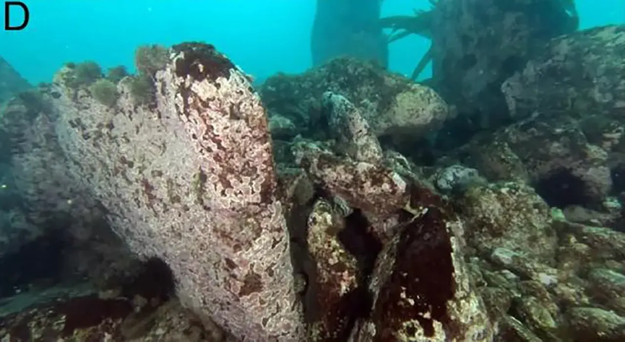 Batık taş devri şehrinde olağanüstü keşif! 7 bin yıllık