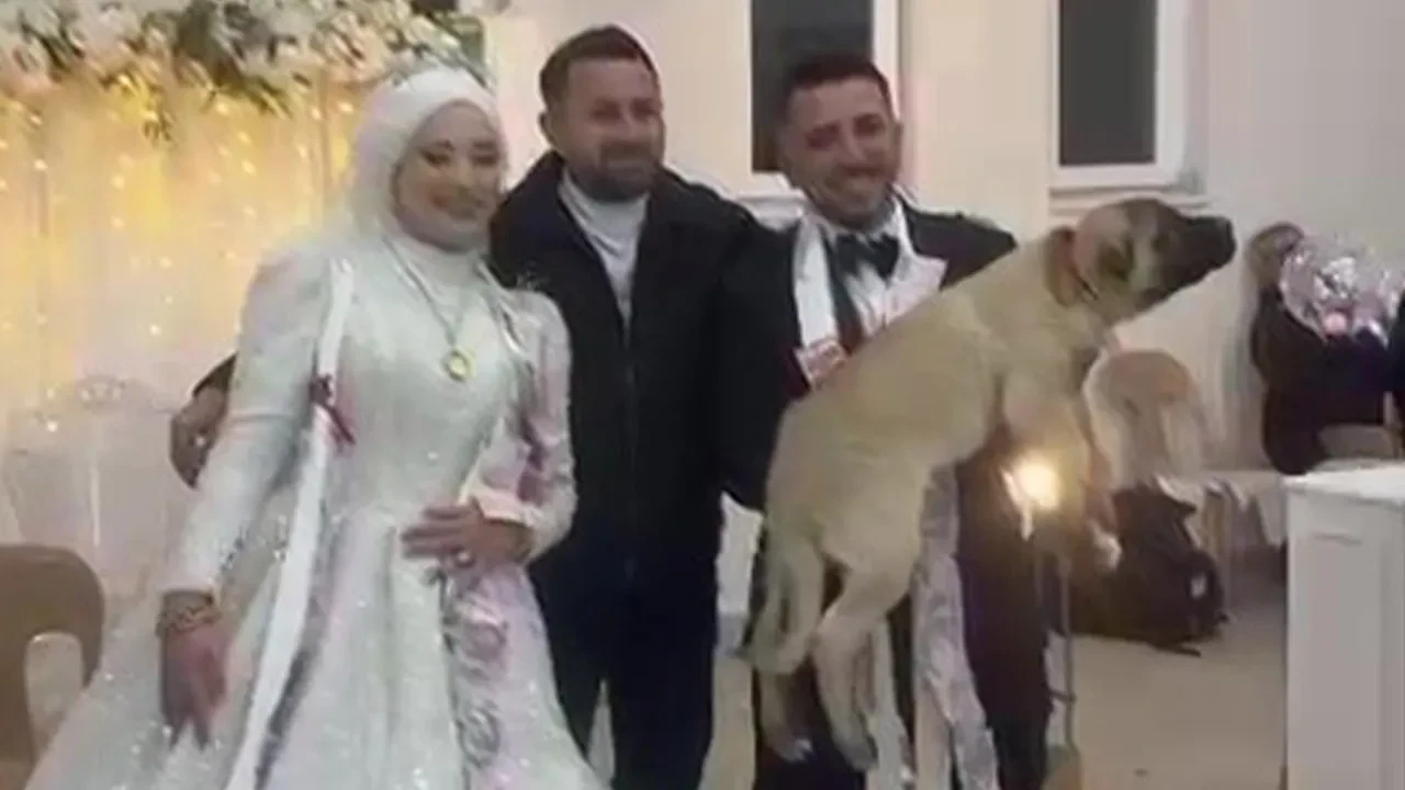 Damada ilginç düğün takısı! Değeri 100 bin TL