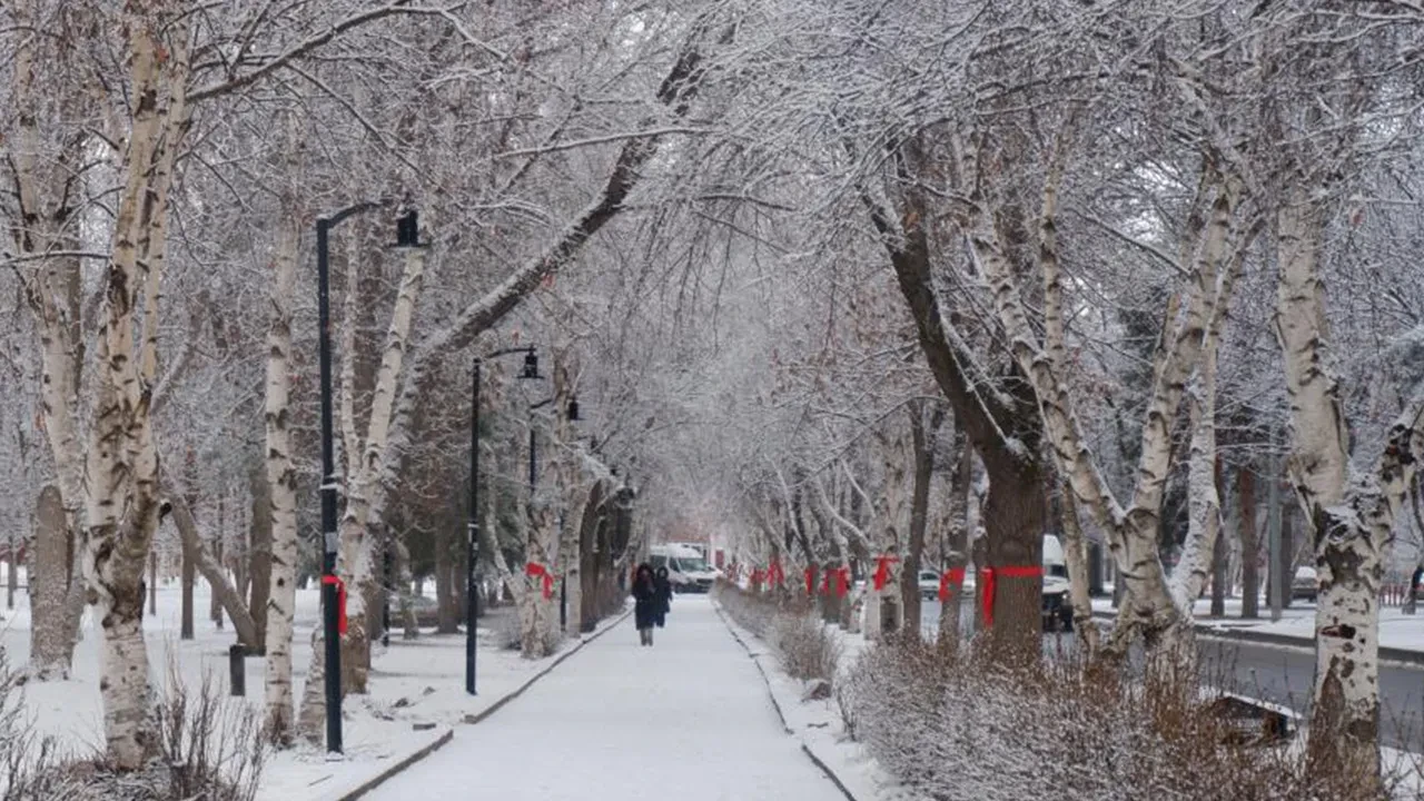 Meteoroloji saat verdi! 3 ile kar yağışı geliyor: İşte bölge bölge hava durumu