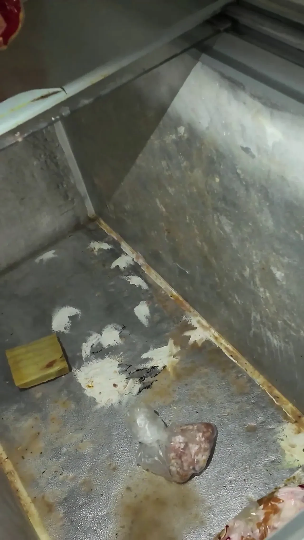 Mide bulandıran görüntü! 'Leş koku var' dediler, dönerci ifşa oldu