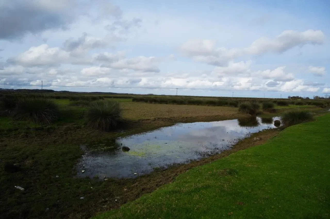 Kızılırmak Deltası alarm veriyor! Uzman isimden kritik uyarı: Biyolojik çeşitlilik tehlikede