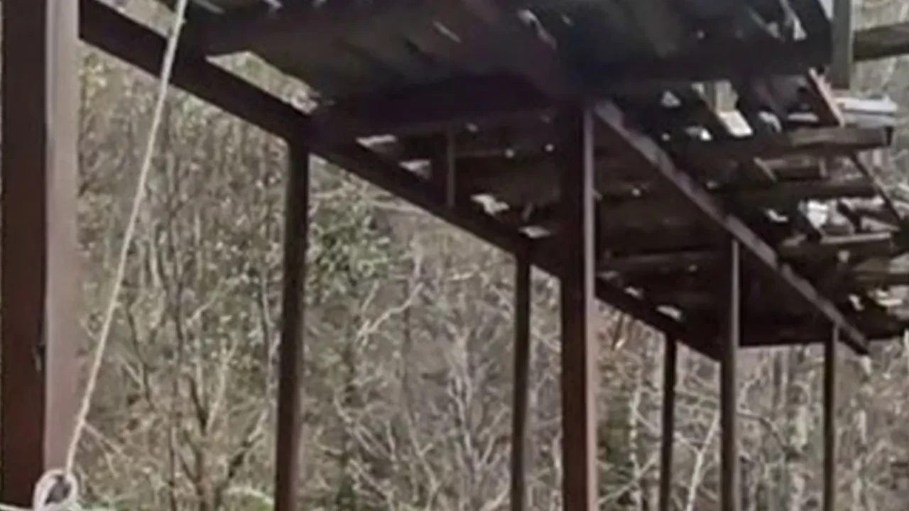 Rize'de ayılara ilginç tezgah! Yine de çare olmadı