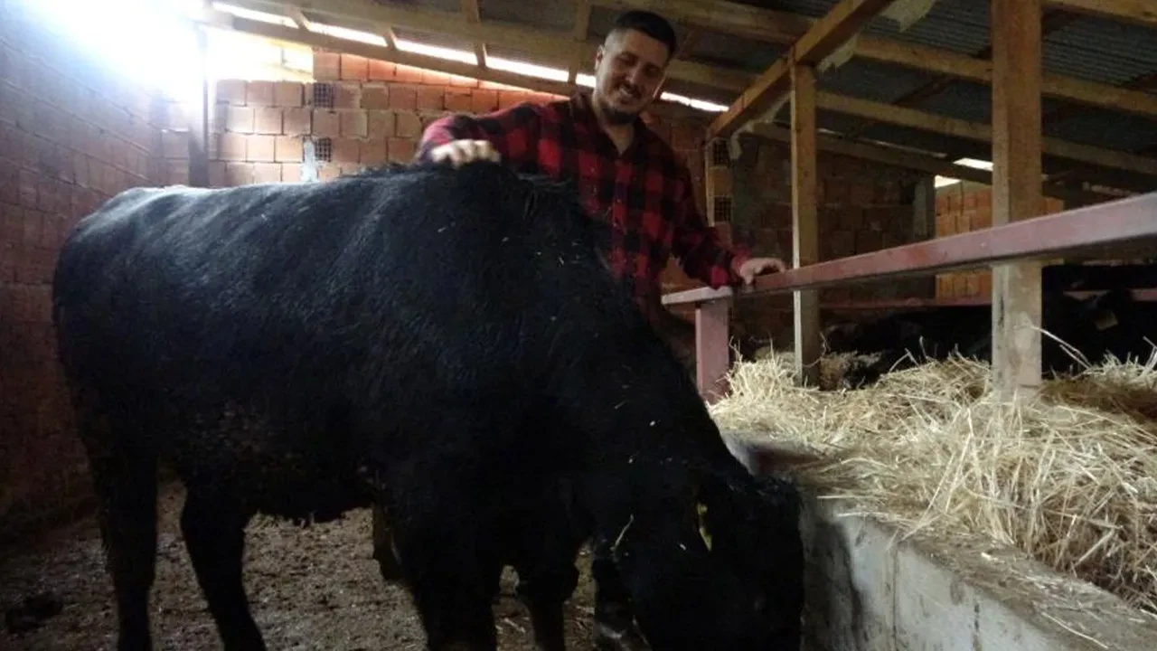 Yurt dışına yerleşmek isteyenlere mesaj! Almanya'dan Türkiye'ye taşındı: Orada robot olacağıma köyümde çoban olurum