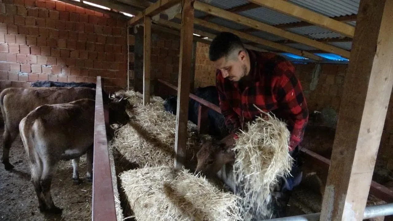 Yurt dışına yerleşmek isteyenlere mesaj! Almanya'dan Türkiye'ye taşındı: Orada robot olacağıma köyümde çoban olurum