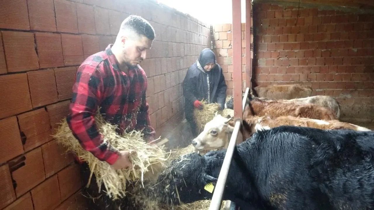 Yurt dışına yerleşmek isteyenlere mesaj! Almanya'dan Türkiye'ye taşındı: Orada robot olacağıma köyümde çoban olurum