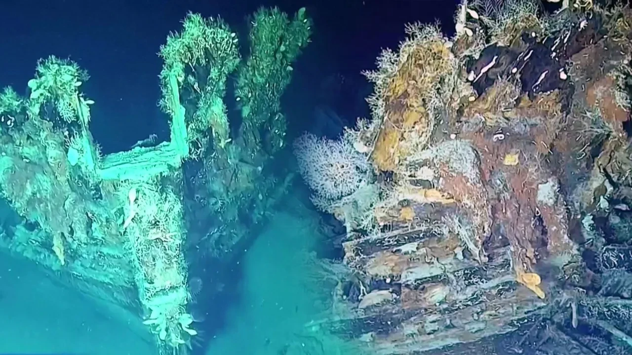 Dipteki 300 yıllık dev hazine: Altın sikkeler, porselen parçalar hatta devasa bir top!