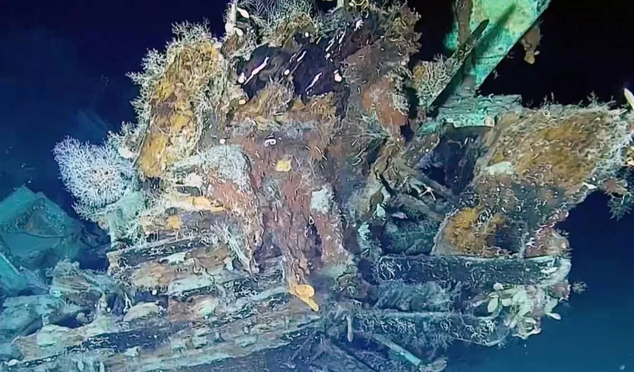 Dipteki 300 yıllık dev hazine: Altın sikkeler, porselen parçalar hatta devasa bir top!