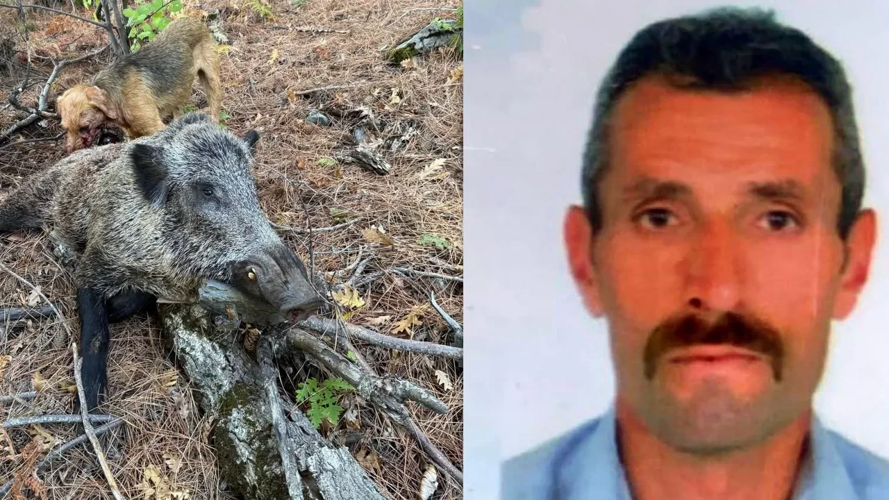 Erzincan’da domuzun saldırısına uğrayan avcı öldü!