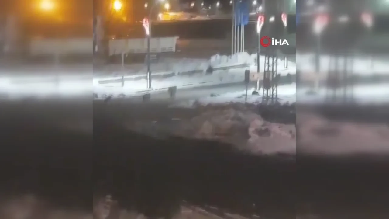 Kurtlar sokaklara indi, vatandaşlar korku dolu anlar yaşadı: O anlar kamerada!