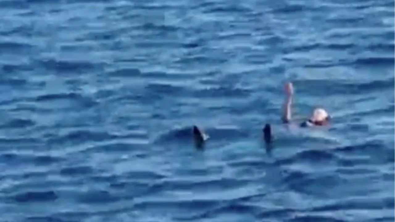 Çanakkale Boğazı'nda korku dolu anlar! Bir anda suya atladı