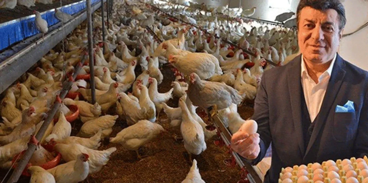 Coşkun Sabah 1 milyon yatırıp tavuk çitliği kurmuştu! Başına gelenlerden sonra müziğe geri döndü