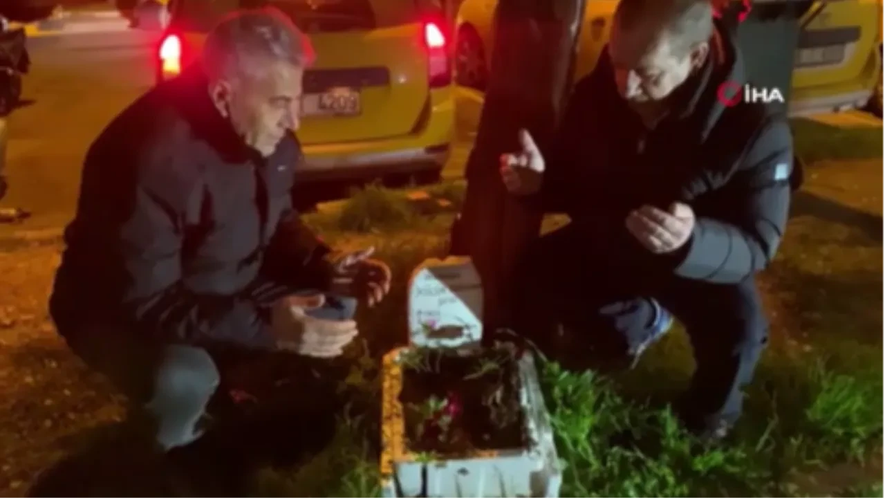 Taksicilerden vefa göstergesi! Ölen kuşlarına mini mezar yaptılar