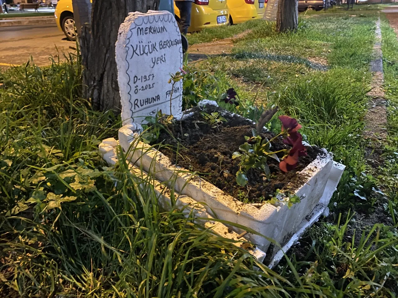 Taksicilerden vefa göstergesi! Ölen kuşlarına mini mezar yaptılar