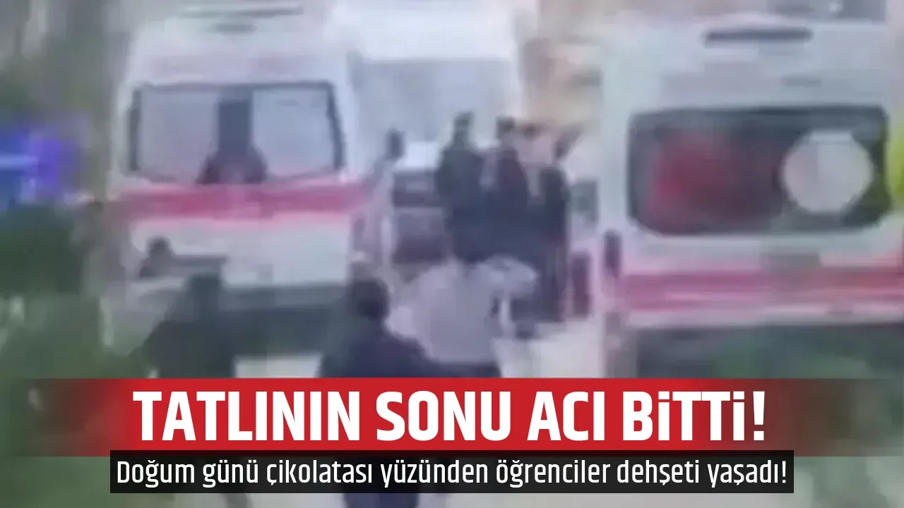 TATLININ SONU ACI BİTTİ!