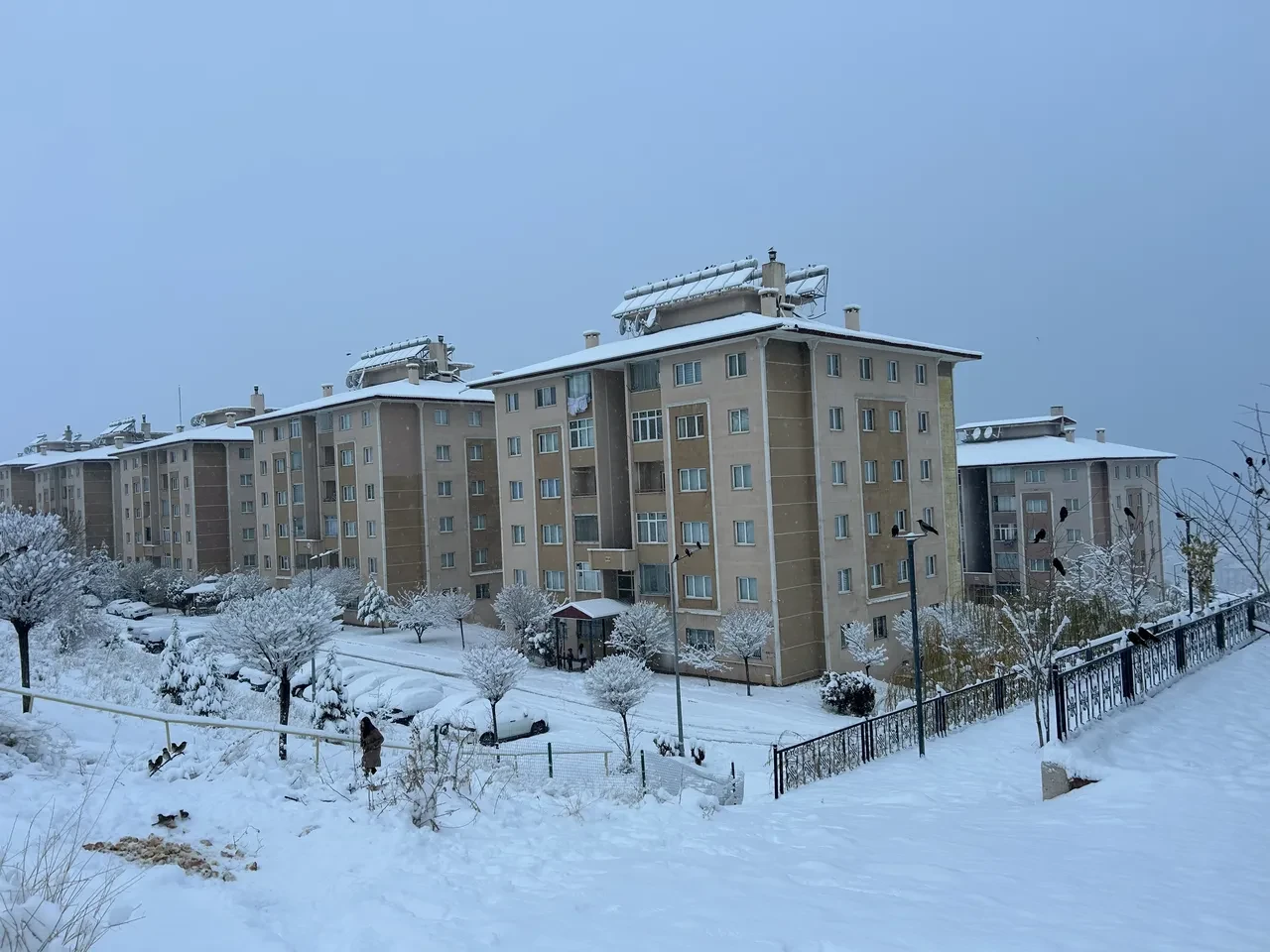 Van'da yoğun kar yağışı! Kent kar altında kaldı: Uçak seferleri rötar yaptı