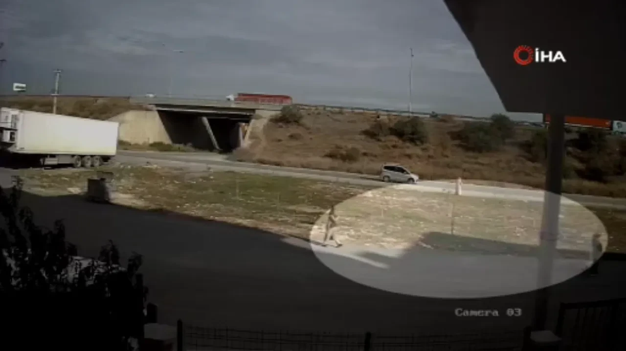 Evleri soyan hırsızlar önce kameraya sonra polise yakalandı!