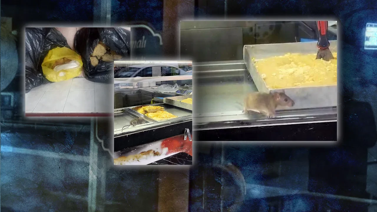 İzmir'den mide bulandıran görüntüler! İnsan sağlığı hiçe sayıldı: Börek tezgahlarında fare cirit attı