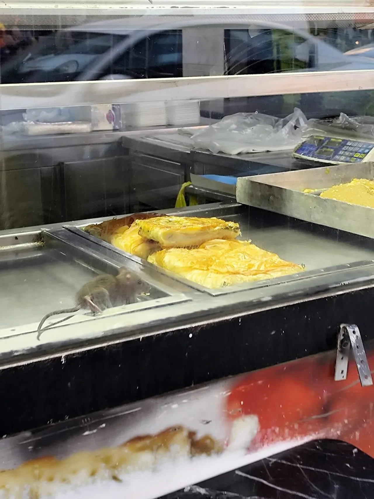 İzmir'den mide bulandıran görüntüler! İnsan sağlığı hiçe sayıldı: Börek tezgahlarında fare cirit attı