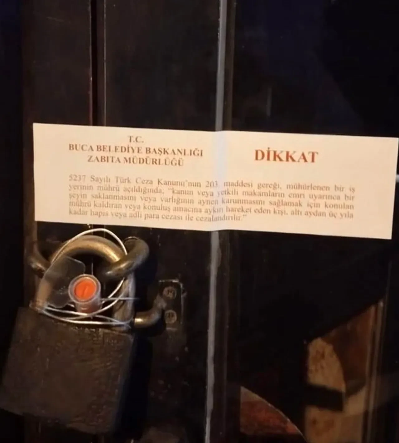 İzmir'den mide bulandıran görüntüler! İnsan sağlığı hiçe sayıldı: Börek tezgahlarında fare cirit attı