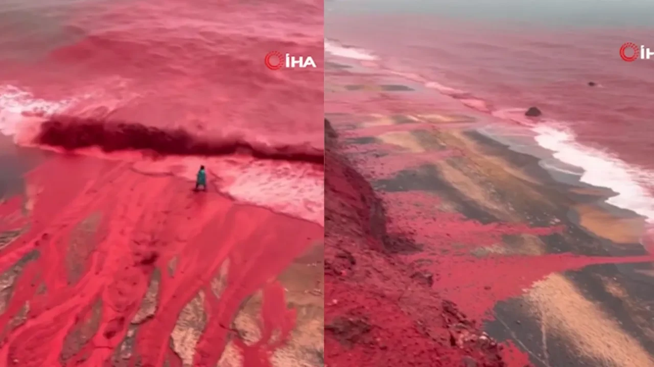 Sahil şeridi, deniz suyu kızıla büründü! Sosyal medyadaki görüntüler şaşırttı