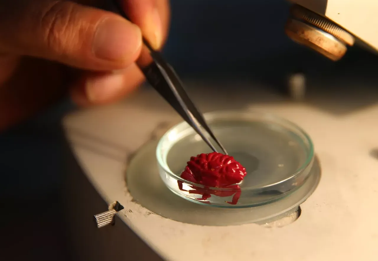 Türkiye kıyılarında ilk! Bölgeye yerleşiyorlar: Yeni türler Hatay'da incelemeye alındı