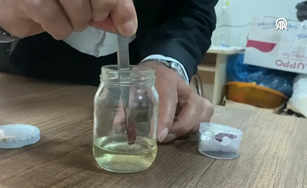 Türkiye kıyılarında ilk! Bölgeye yerleşiyorlar: Yeni türler Hatay'da incelemeye alındı