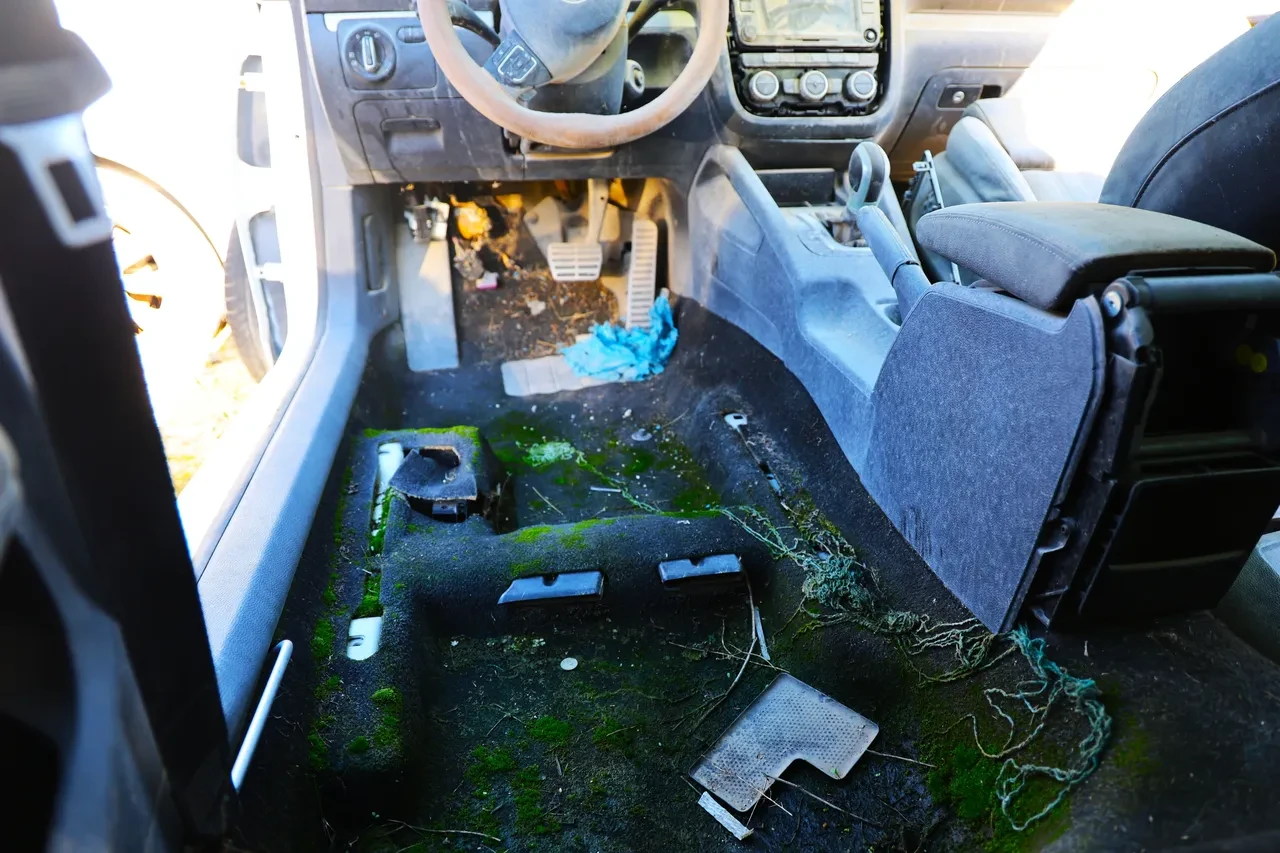 Yediemin otoparkında hayrete düşüren görüntüler! 500 milyon liralık servet çürüyor