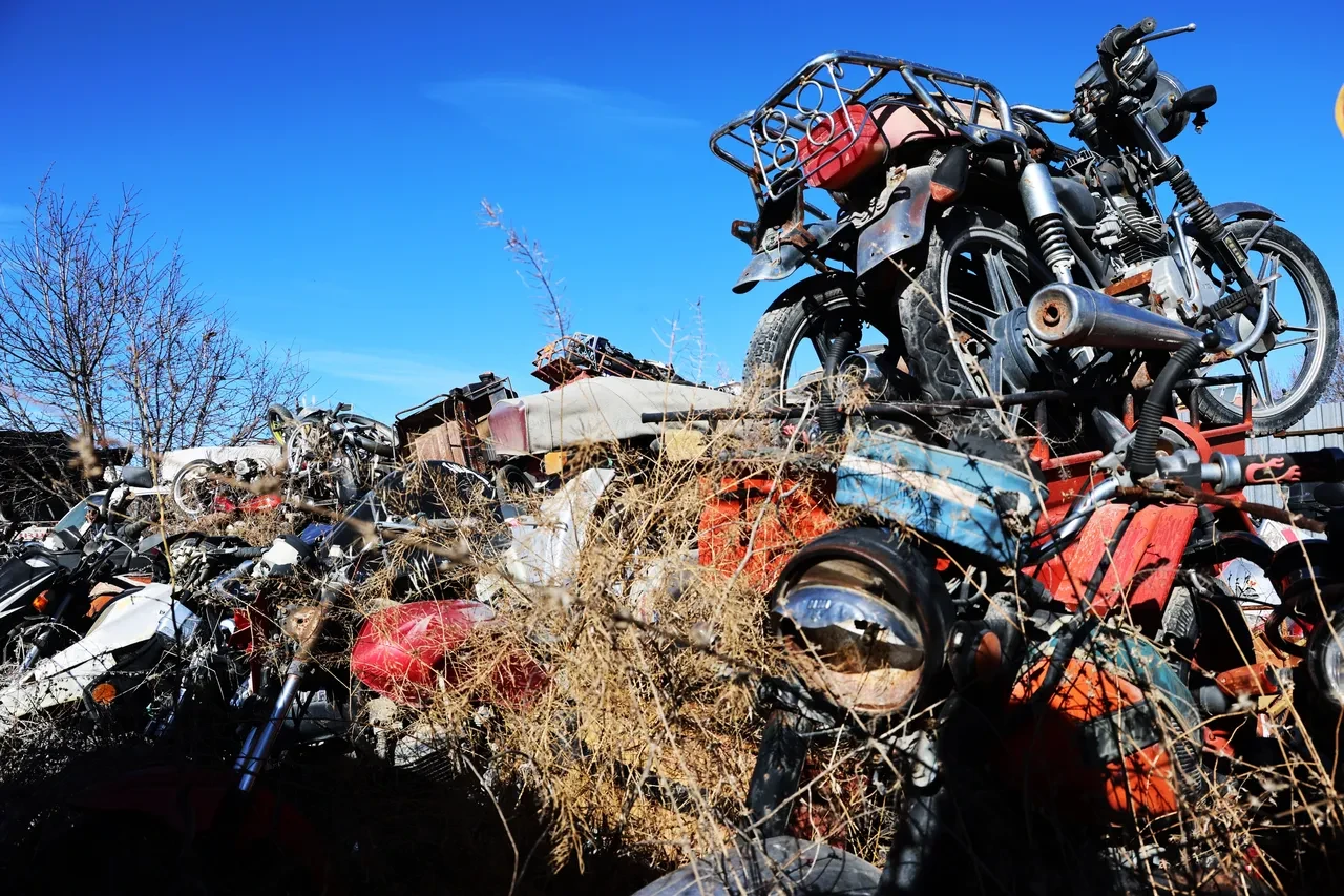 Yediemin otoparkında hayrete düşüren görüntüler! 500 milyon liralık servet çürüyor